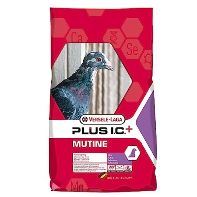 Afbeelding van Versele Laga I.C.+ Mutine Plus Ic Rui Duivenvoer 20 kg