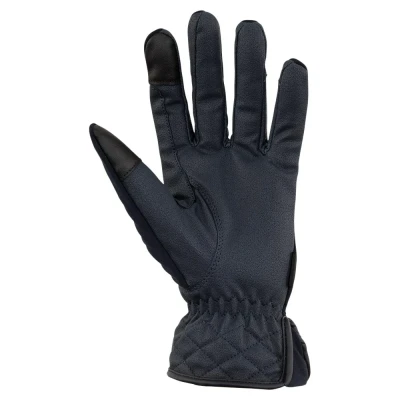 Afbeelding van BR handschoenen Warm Classy Pro