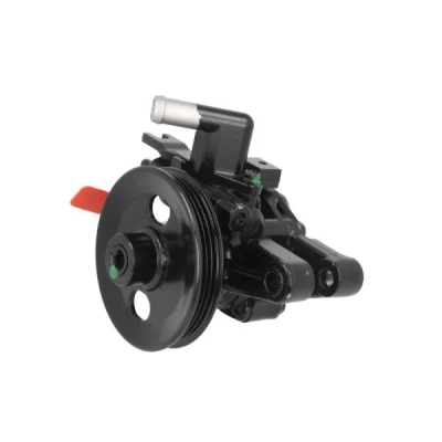Afbeelding van Lauber Servopomp 55.5710