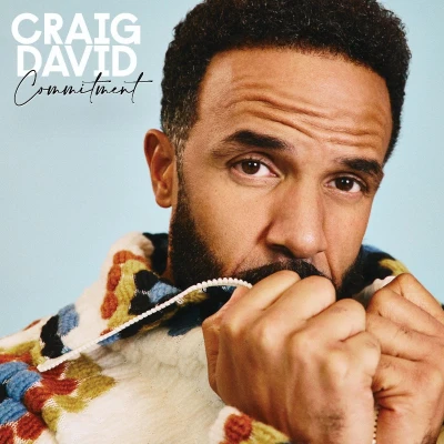 Afbeelding van Craig David Commitment (LP)