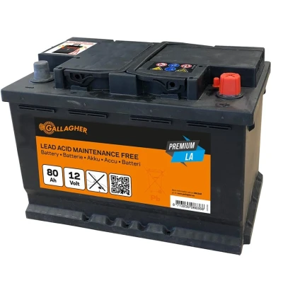 Afbeelding van Gallagher Accu 12V/80Ah, Geschikt voor Veehouderij