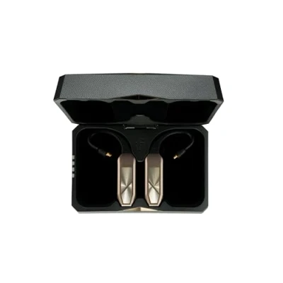 Afbeelding van iFi Audio GO pod Max