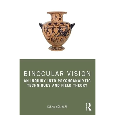 Afbeelding van Binocular Vision: An Inquiry into Psychoanalytic Techniques and Field Theory