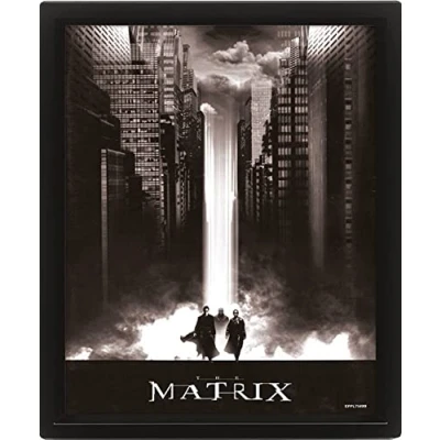 Afbeelding van Pyramid International The Matrix poster in 3D, muurkunst, lenticulaire lijst (lichtvalontwerp) 25 cm x 20 1,3 kunstwerklijst officiële koopwaar