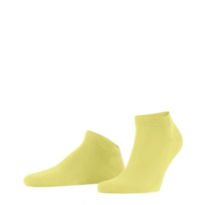 Afbeelding van FALKE Sneakersokken ClimaWool