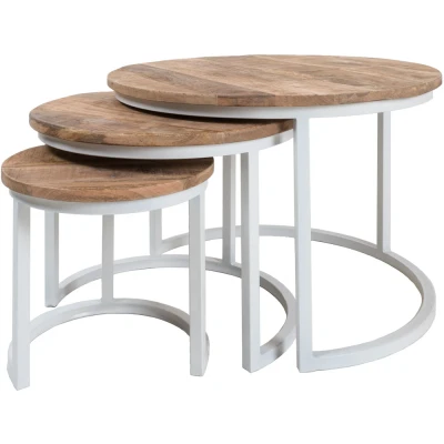 Afbeelding van Salontafel Set van 3 Industriële Salontafelset Jan Wit