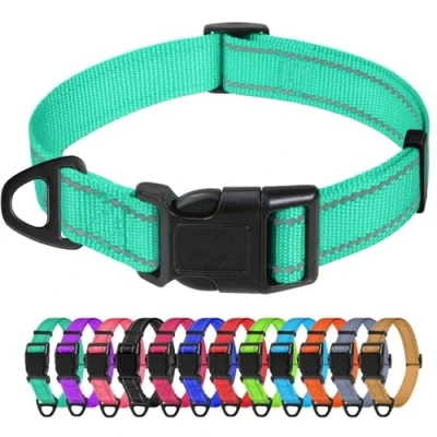 Afbeelding van TagMe Reflecterende nylon halsbanden, verstelbare klassieke halsband met snelsluiting voor kleine honden, turkoois, 1,5 cm breedte