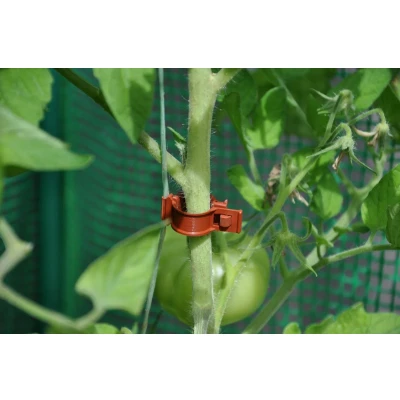Afbeelding van 6 stuks! Tomato Clips / a tomates 20 X Royal well