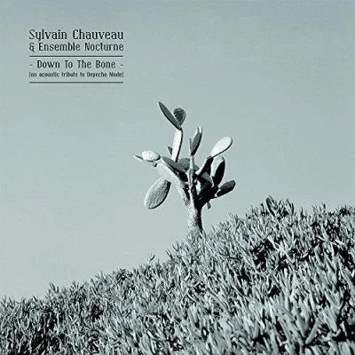 Afbeelding van Sylvain &amp; Ensemble Nocturne Chauvaeu Down To the Bone: Acoustic Tribute Depeche Mode (LP)