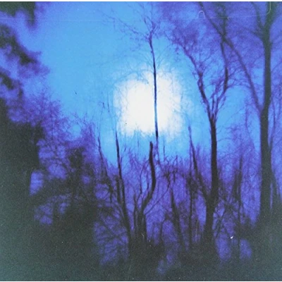 Afbeelding van Flying Saucer Attack Further (LP)