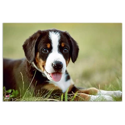 Afbeelding van VELOFLEX 4651113 Bureauonderlegger puppy, 40 x 60 cm, antislip, afveegbaar, met transparante antireflecterende beschermfolie, bureauonderlegger, schildersmat, knutselmat