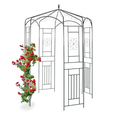 Afbeelding van Relaxdays rozenpaviljoen metaal, klimhulp voor klimrozen, druiven of clematis, 250x160x160cm, tuindecoratie, groen