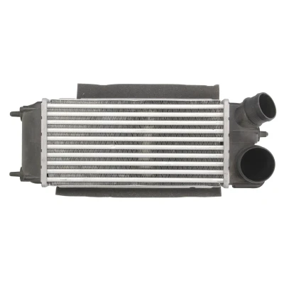 Afbeelding van Thermotec Interkoeler DAG014TT