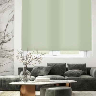 Afbeelding van Blindecor Ara Lichtdoorlatend rolgordijn linnen, Manual, Pastelgroen, 80 x 175 cm