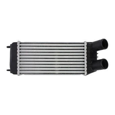 Afbeelding van Thermotec Interkoeler DAP006TT