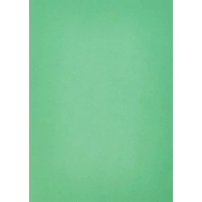 Afbeelding van House of Card &amp; Paper gekleurd papier, A4, 80 g/m2, Bright Green (Pack 50 Sheets) groen