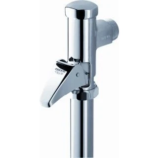 Afbeelding van Grohe wc drukspoeler 3/4&quot; handmatige spoeling chr.