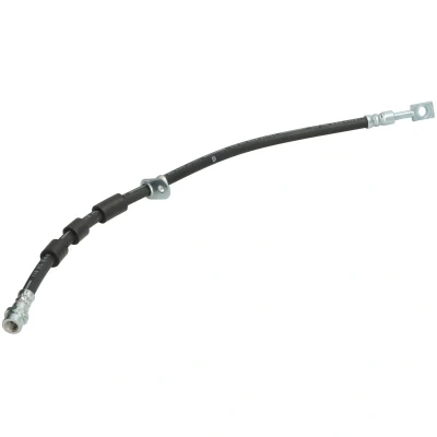 Afbeelding van Remslang DELPHI LH8047