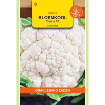 Afbeelding van Bloemkool clarina f1