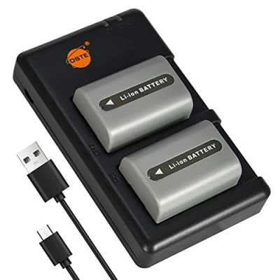 Afbeelding van DSTE 2 stuks NP FP50 FP30 (1100mAh/7,4V) batterijlader compatibel voor Sony DCR DVD203E, DVD205, DVD205E, DVD304E, DVD305, DVD305E,