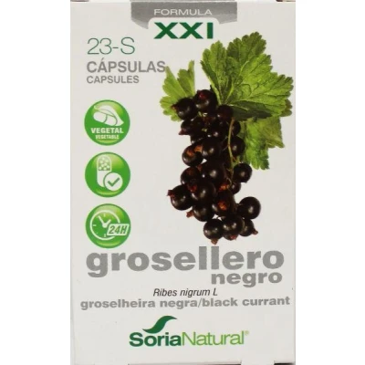 Afbeelding van Soria Ribes Nigrum XXI Capsules 30CP