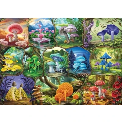 Afbeelding van Ravensburger Legpuzzel Beautiful Mushrooms, 1000st.