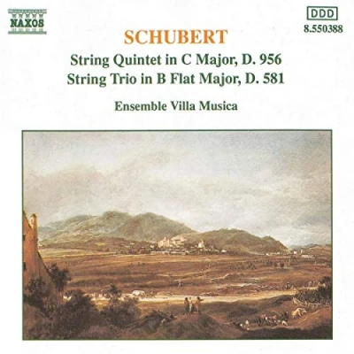 Afbeelding van Ensemble Villa Musica String Quintet/String Trio (CD)