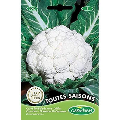 Afbeelding van Germisem Toutes Saisons Bloemkool Zaden 2 g