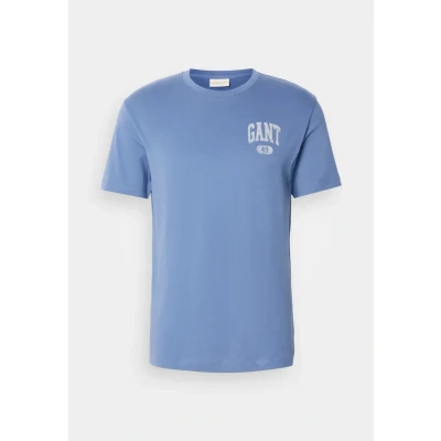 Afbeelding van GANT Seasonal Graphic Tshirt basic, Heren, Maat: Medium, Salty sea