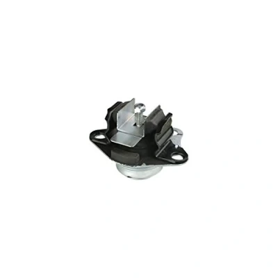 Afbeelding van Delphi Diesel Motorsteun TEM048