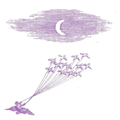 Afbeelding van Feeling Figures Migration Magic (LP)