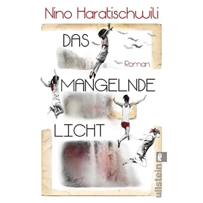 Afbeelding van Das mangelnde Licht: Roman der jüngste großen georgisch deutschen Erzählerin wochenlang auf Bestsellerliste und von Kritikern hoch gelobt