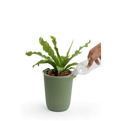 Afbeelding van Qualy Oasis Square bloempot rond met zelfbewateringssysteem in de kleur groen, maat: S, QL10307 GN GY