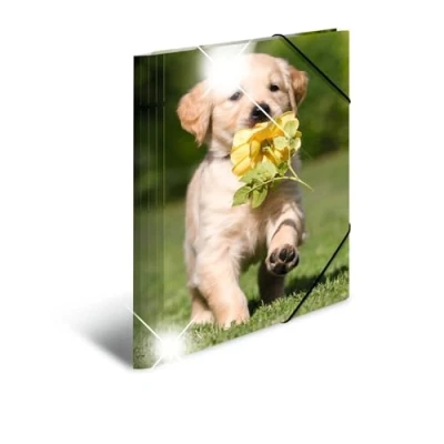 Afbeelding van HERMA 19327 verzamelmap DIN A4 dieren honden, 3 delige set, stevige kunststof, opbergmap met hoogglans effect, bedrukte binnenkleppen en elastiek, documentenmap voor kinderen, jongens meisjes