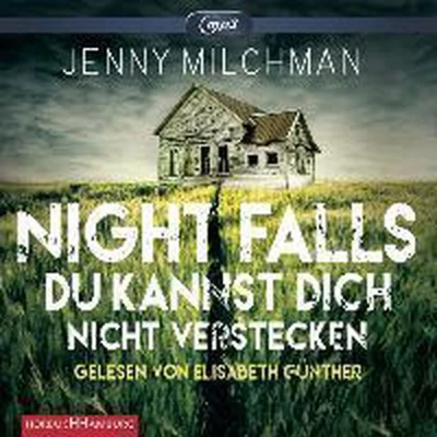 Afbeelding van Night Falls. Du kannst dich nicht verstecken