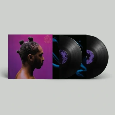 Afbeelding van Terence Etc. V O R T E X (2 LP)