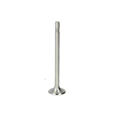 Afbeelding van Uitlaatklep FRECCIA R6691/R