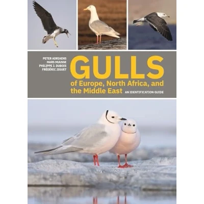 Afbeelding van Gulls of Europe, North Africa, and the Middle East