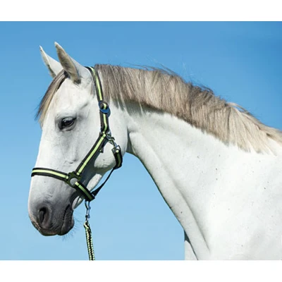 Afbeelding van Covalliero Nylonhalster Hippo Antraciet/Lemon Shetland