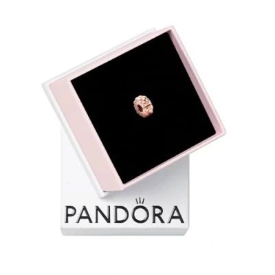 Afbeelding van Pandora 782716C00 Bedel Clip Stopper Fixed zilver siliconen