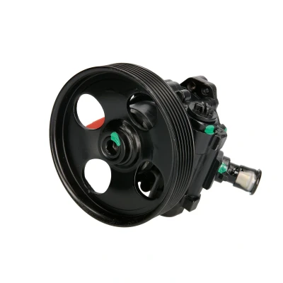 Afbeelding van Lauber Servopomp 55.4285