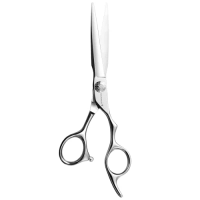 Afbeelding van Aolanduo Prime kappersschaar met SUPER CONVEX Edge AICHI JP440C haarknipschaar/duurzame gladde beweging en fijn haar snijschaar voor salon (6,0 inch)