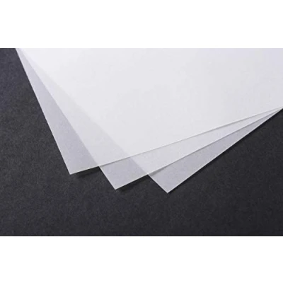 Afbeelding van Clairefontaine Ref 975087C Traceerpapier (10 vellen) 50x65cm formaat, 70/75g, hoge transparantie, glad oppervlak, zuurvrij, afdrukbaar Geschikt voor inkt, marker &amp; potlood