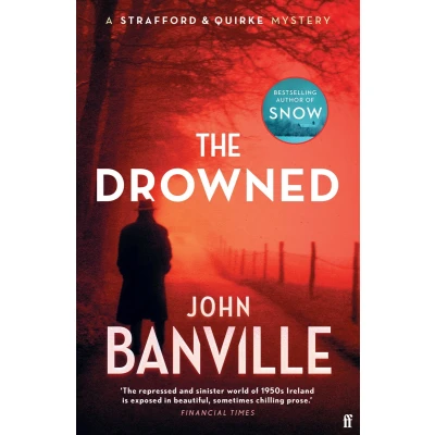 Afbeelding van Strafford and Quirke Mystery 10 The Drowned