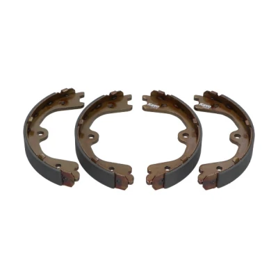 Afbeelding van Kavo Parts Remschoen set KBS 7404