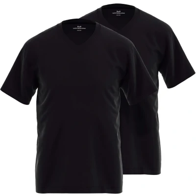 Afbeelding van Gotzburg heren T shirts regular fit V hals (2 pack) zwart Maat: M