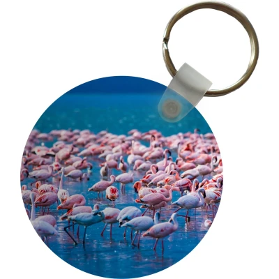 Afbeelding van Sleutelhanger Flamingo Water Tropisch Roze Plastic Rond Uitdeelcadeautjes