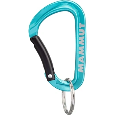 Afbeelding van Mammut Mini Carabiner Classic Keylock S Blue