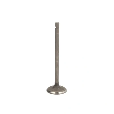 Afbeelding van Inlaatklep FRECCIA R6700/RNT