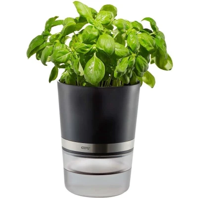 Afbeelding van Kruidenpot Gefu Botanico